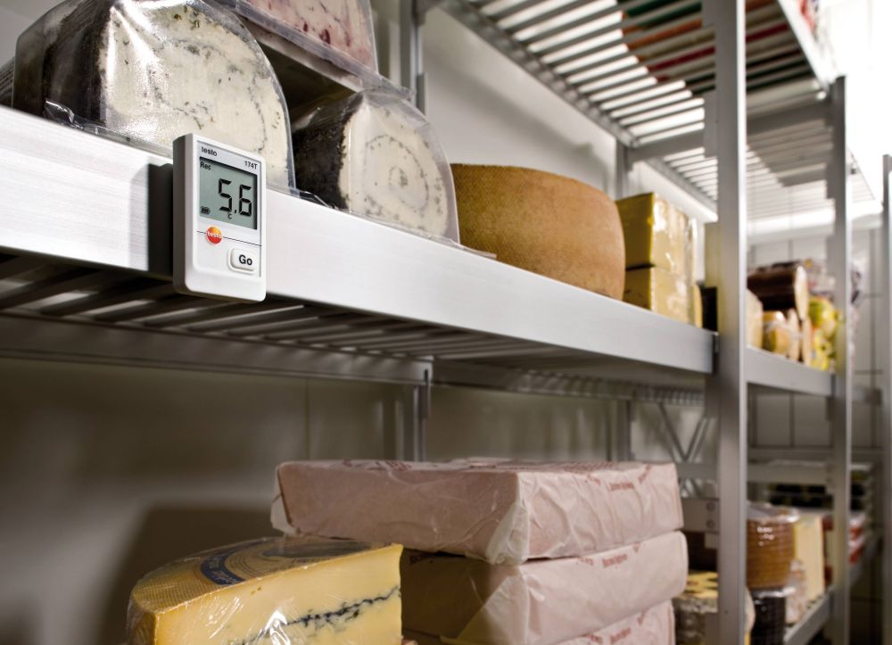 Электронный регистратор Testo 176